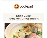 * 大根ときゅうりとベーコンのサラダ *作り方12写真