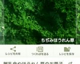 ほうれん草胡桃パン作り方1写真