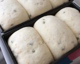 緑豆山パン作り方7写真