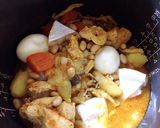 炊飯器deポン！簡単タンドリーチキン作り方9写真