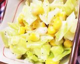 すぐ出来る!コールスローサラダ作り方4写真