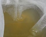 簡単♪蛤のお吸い物 祝い汁作り方6写真