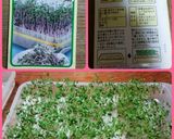 ヘルシー ハンバーグ☆作り方3写真