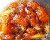 みかんとレモンの自家製酵素作り方9写真