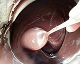 簡単！！濃厚ザクうま生チョコケーキ☺︎︎作り方5写真