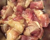 長ネギトロトロ親子丼作り方1写真