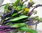 お野菜おかず：紅菜苔(紅苔菜)の塩和え作り方1写真