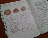 ジャーマンかぼちゃ風 de ココアまん☆作り方5写真