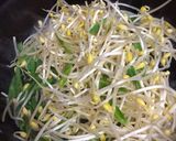 あと一品 豆もやしといんげんの炒め煮作り方1写真