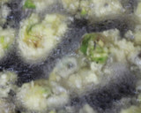天むす　ふきのとう作り方6写真