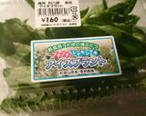 新食感！！アイスプラントの簡単ポン和え作り方1写真