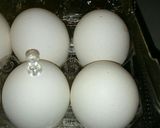 ★焼豚チャーシュー&半熟煮たまご★作り方12写真