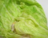 じゃがロールキャベツ作り方7写真
