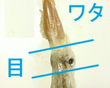 ☺いかゲソとねぎのバター醤油ワタ炒め☺作り方2写真