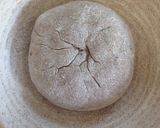 天然酵母の６０％ライ麦パン作り方5写真