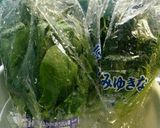 野菜を復活させる作り方3写真