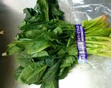 野菜を復活させる作り方4写真