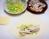 しっとりむね肉と春キャベツ春巻き作り方6写真