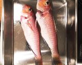 俺の甘鯛味噌漬け作り方1写真