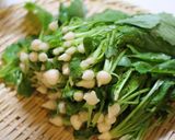 春の付け合わせ〜ウグイス菜〜作り方1写真