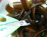 新わかめの下ごしらえ作り方2写真