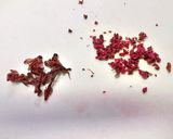 桜&抹茶の米粉チーズロールケーキ作り方6写真