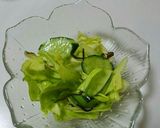 キャベツと胡瓜の浅漬け風サラダ作り方5写真
