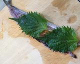 イワシの梅しそ巻き揚げ作り方3写真