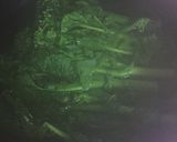 菜の花としいたけのおひたし作り方4写真