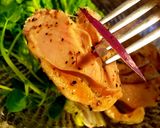 自家製鶏ハム作り方6写真