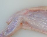 簡単に♪手羽先餃子～♪作り方1写真
