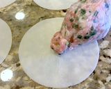 エスニック餃子作り方1写真