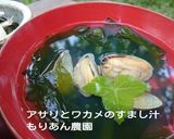 ひなまつりにも❤甘酒スムージィー作り方8写真