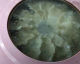 親子で手作り餃子作り方11写真