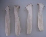 豚肉と根菜のピリ辛炒め作り方5写真