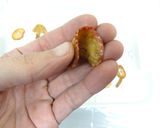 フルーツティー（ドライ苺×紅茶）作り方2写真