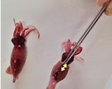 茹でホタルイカの下ごしらえ　ストレス無　作り方4写真