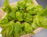 めっけもん♪簡単！つぼみなの天ぷら作り方1写真