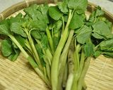 ツン！間違いなし「花わさびのおひたし」作り方1写真