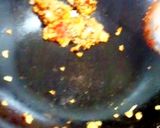 本格麻婆豆腐作り方5写真