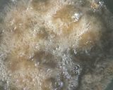 大満足(^^)サーモンポテコロッケ作り方16写真