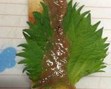お弁当・おつまみに 梅・しそ 竹輪巻き作り方3写真