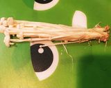 私的えのき茸の☆長持ち保存作り方7写真