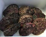あわびの刺身うすうす造り作り方1写真