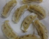 揚げ餃子(ｴｷｻｲﾄorﾃﾞﾝｼﾞｬ)作り方3写真