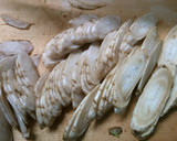 簡単♪ごぼうと長ネギ もやしの中華煮込み作り方3写真