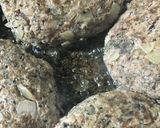 ストーンハンバーグで作るロコモコ丼作り方5写真