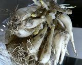 生ラッキョウのおかか和え作り方1写真
