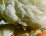 今日の夕飯これだけ☆キャベツとニラの餃子作り方1写真
