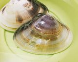 簡単 蛤お吸い物作り方1写真